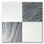 Thassos White Marble 12 in. x 12 in. Marble Tile