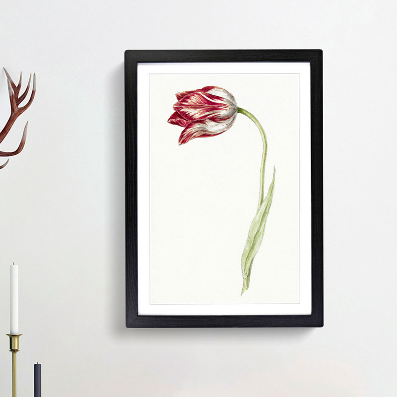 Pink Tulip Flower by Jean Bernard - Picture Frame Painting Print, 36cm H x 27cm W x 2cm D, Black Framed