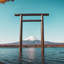 Porte de Torii japonaise modèle Shinmei