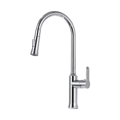 Single-Handle Pull-Down Sprayer Kitchen Faucet in Chrome