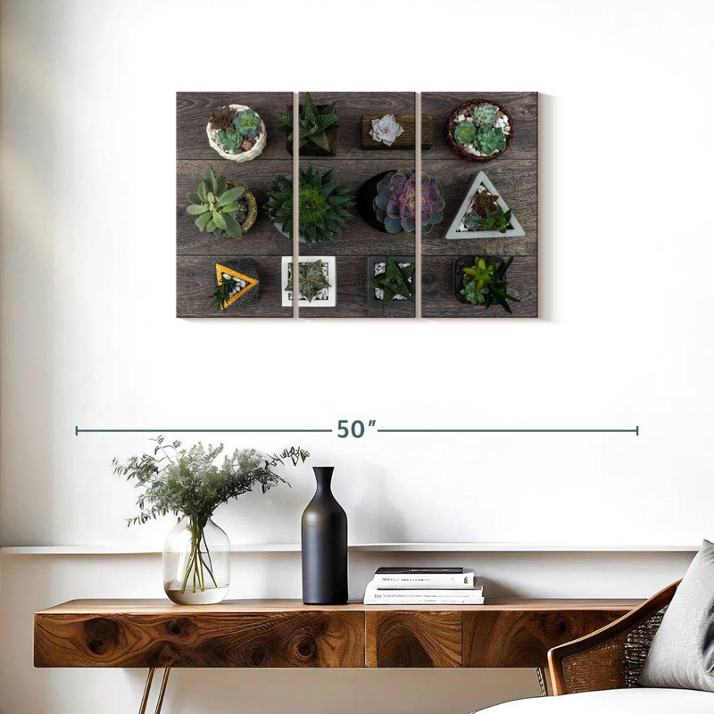 Harnek Assorted Succulents, 20" H x 33" W