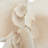 Amanda 13.15" Polystone Coral Decorative Sculpture