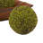 Vase Filler Decorative Object