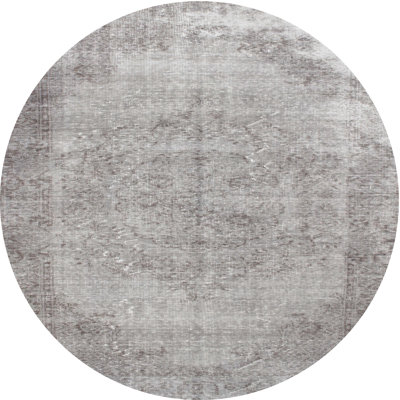 Oriental Indoor Rug