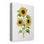 Tournesol Trio I - impression sur toile tendue-242886755