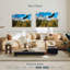 Grand Teton Eagle-107524238