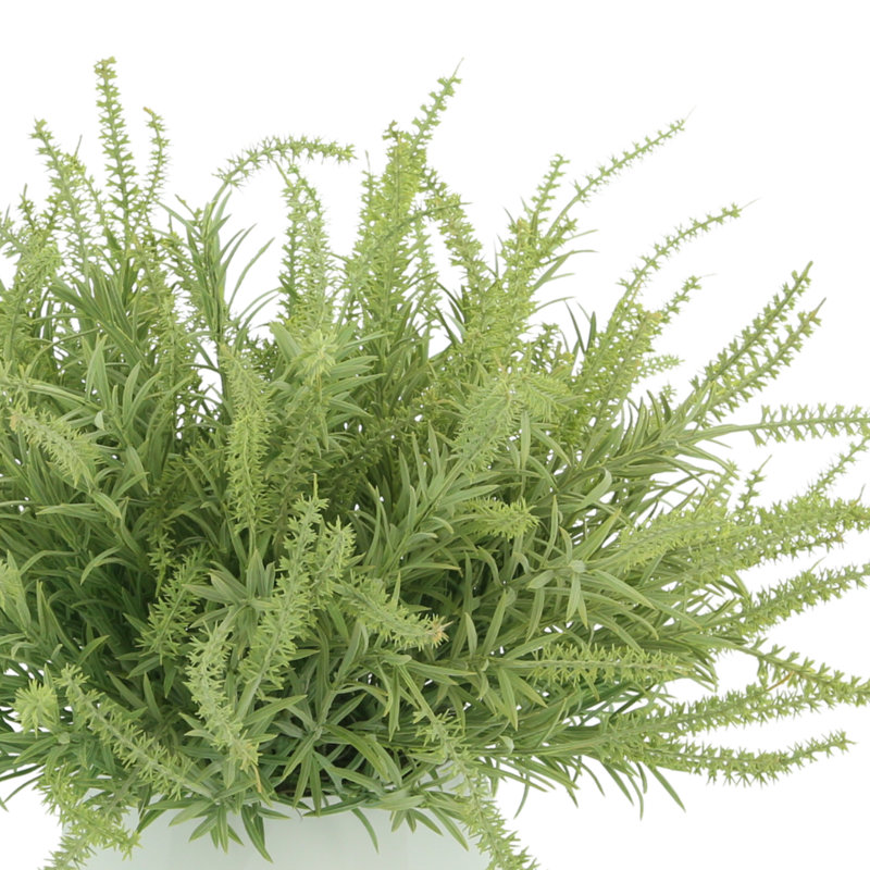 Astilbe Arrangement, Green