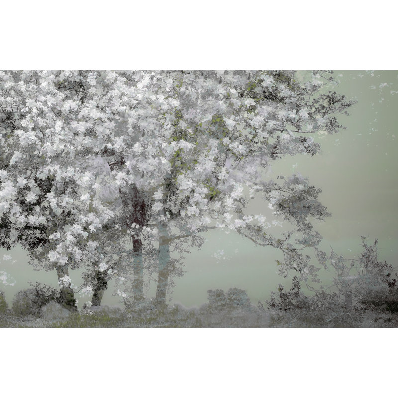 Wrapped Canvas Print, 50.8 cm H x 76.2 cm W