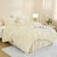 Ensemble de couette Queen noir, ensemble de literie d'hiver moelleux en fausse fourrure douce et chaude (1 couette en velours et 2 taies d'oreiller), ensemble de couette épaisse et moelleuse-124625298-124625310