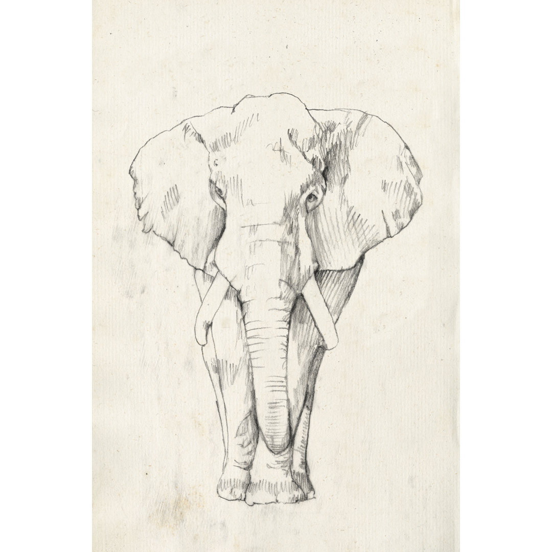 Leinwandbild Elephant Portrait I