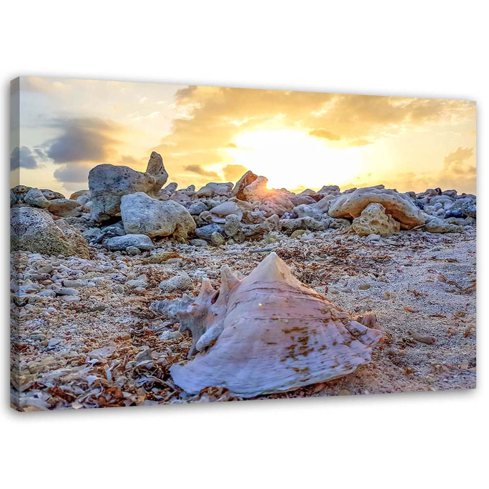 Leinwandbild Shell and stones