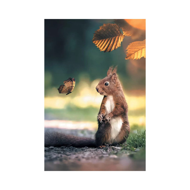 Squirrel Butterfly by Zenja Gammer - Print on Canvas, Wrapped Canvas, 20.32 cm H x 30.48 cm W