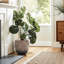Pot de fleurs rond 14,2 po Dia