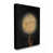 Wrapped Canvas selected