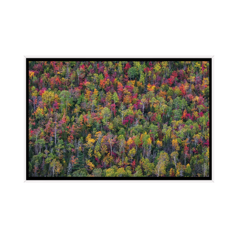 Colour Palette by Miroslaw - Floater Frame Print on Canvas
