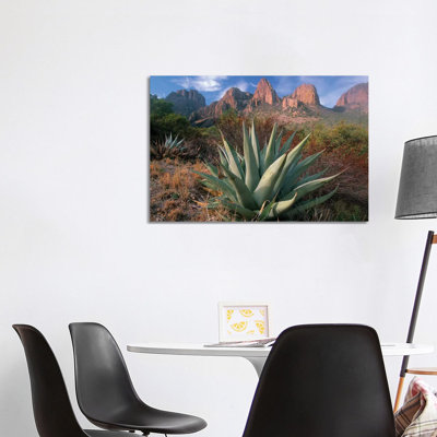 Chisos Agave and the Chisos Mountains, Big Bend National Park, Texas II 1 Piece Wrapped Canvas Wall Art