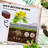Ruocco Metal Raised Garden Bed-2087415470-2087415465