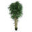 150cm Bamboo Tree in Planter