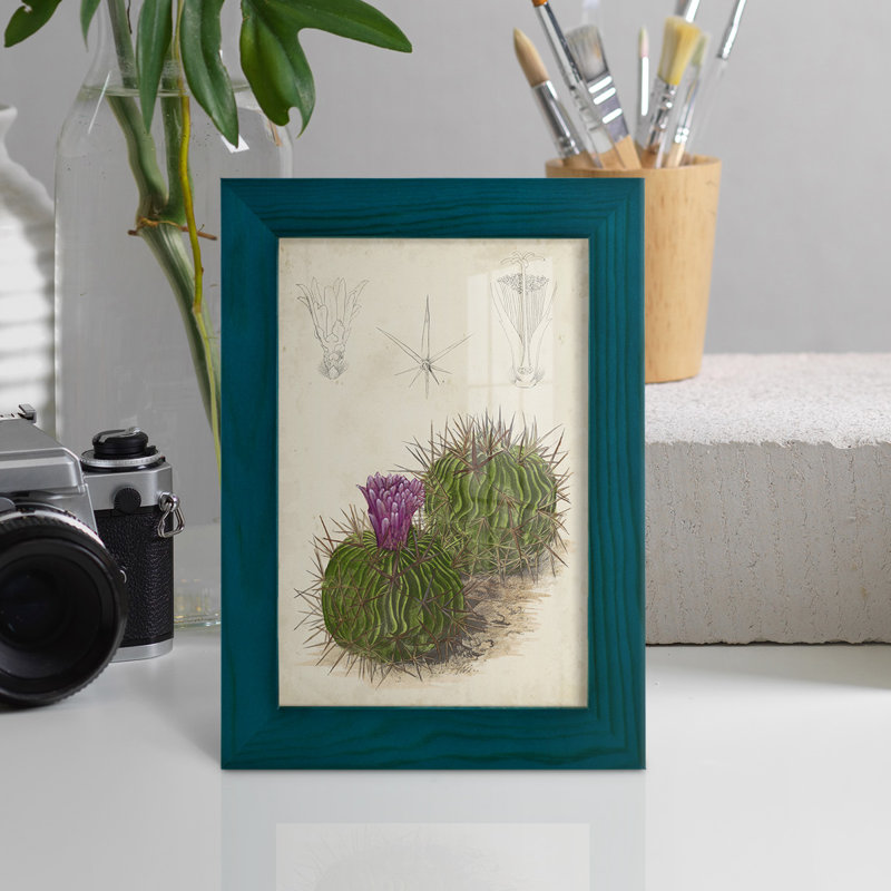 Cactus antique II - impression encadrée avec verre, H 7 po x l 5 po x P 1 po, Bleu