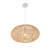 Arione 1 - Light Single Pendant