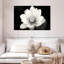 Fleur de lotus Harnek II-107720983