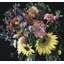 Dark Floral Study Framed Print Canvas-101973853