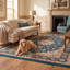 Tapis Granite2 traditionnel à médaillon délavé, style persan, bleu sarcelle, or et crème, lavable à la machine, antidérapant, à poils courts, pour l'intérieur et l'extérieur, adapté aux animaux domestiques, idéal pour le salon, la chambre, la salle à manger, l'entrée, le couloir ou le bureau.-638352112