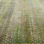 Green Alchemy Contemporary Silk Wool Blend Rug - 11'9" x 16'2"