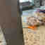 Customer photo 8 of 9