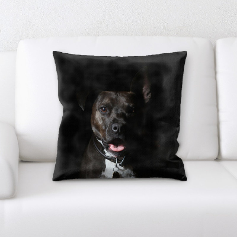 Housse et insert de coussin carré Animal