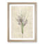 Autumn Crocus Flowers by Pierre-Joseph Redoute - Framed Print-87666194-87666197