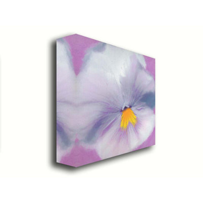 Pansy par Hal Halli. Estampe numérique