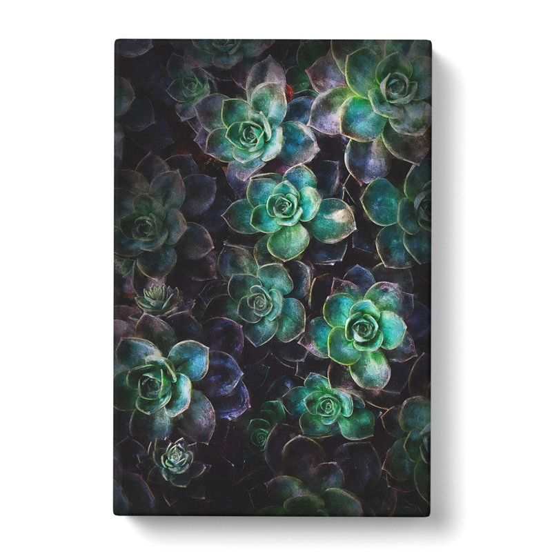 Green Succulent In Bloom - Wrapped Canvas Painting, 60cm H x 40cm W x 3cm D