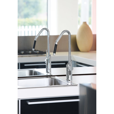 Maestro Bath Pull Out Kitchen Faucet