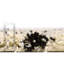 Tapis à poils longs blanc et noir Foundry Select-1821288852