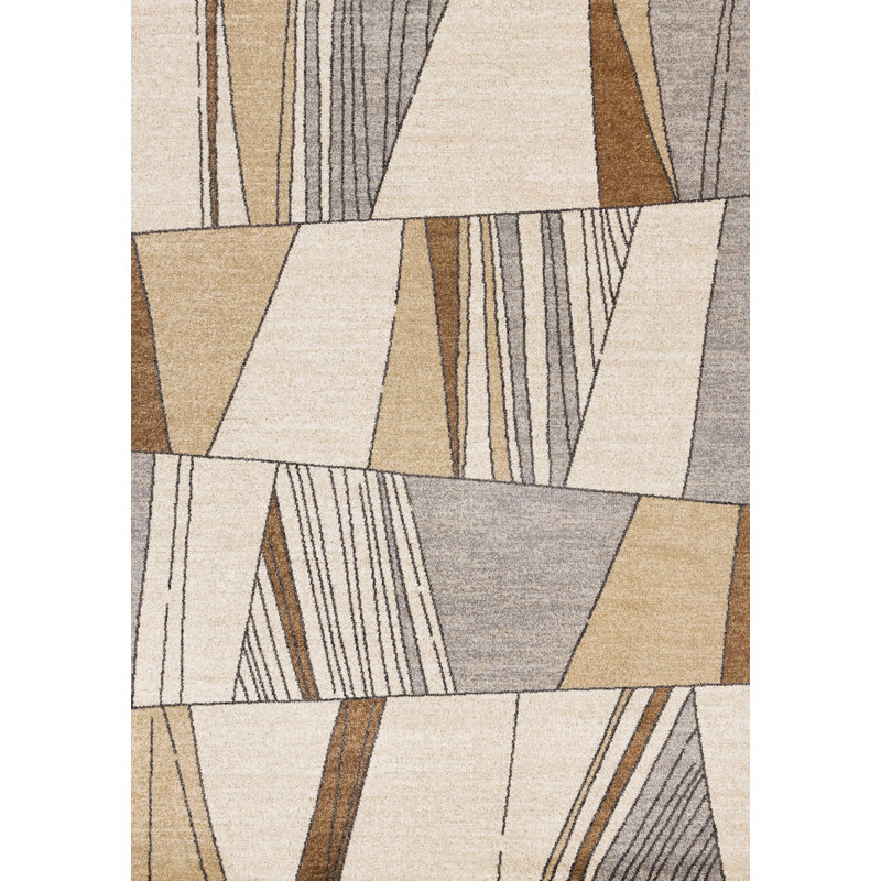 Tapis brun Dharamvir, Rectangle 5 pi 3 po x 7 pi 7 po