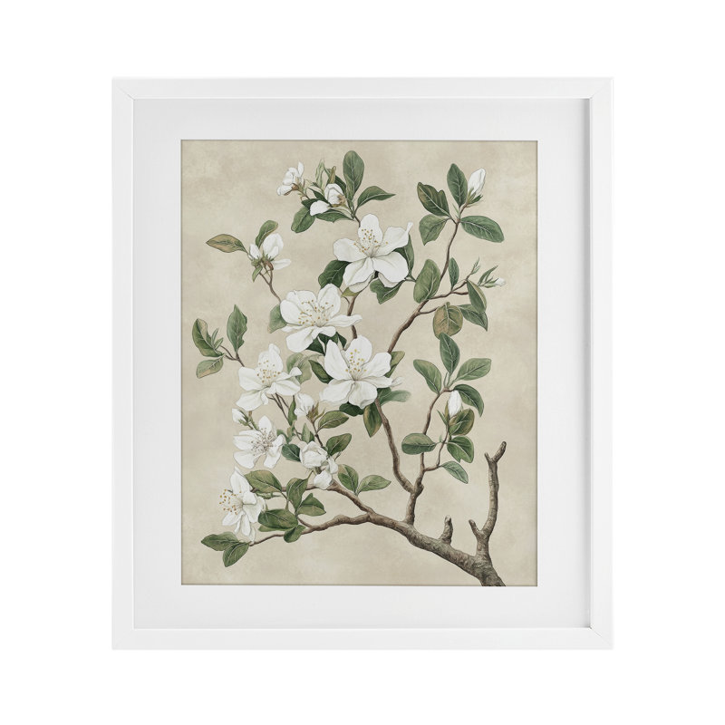 Reproduction sous verre rétro encadrée d'un arbre blanc, design par Petal Prints Design, H 16 po x l 13 po