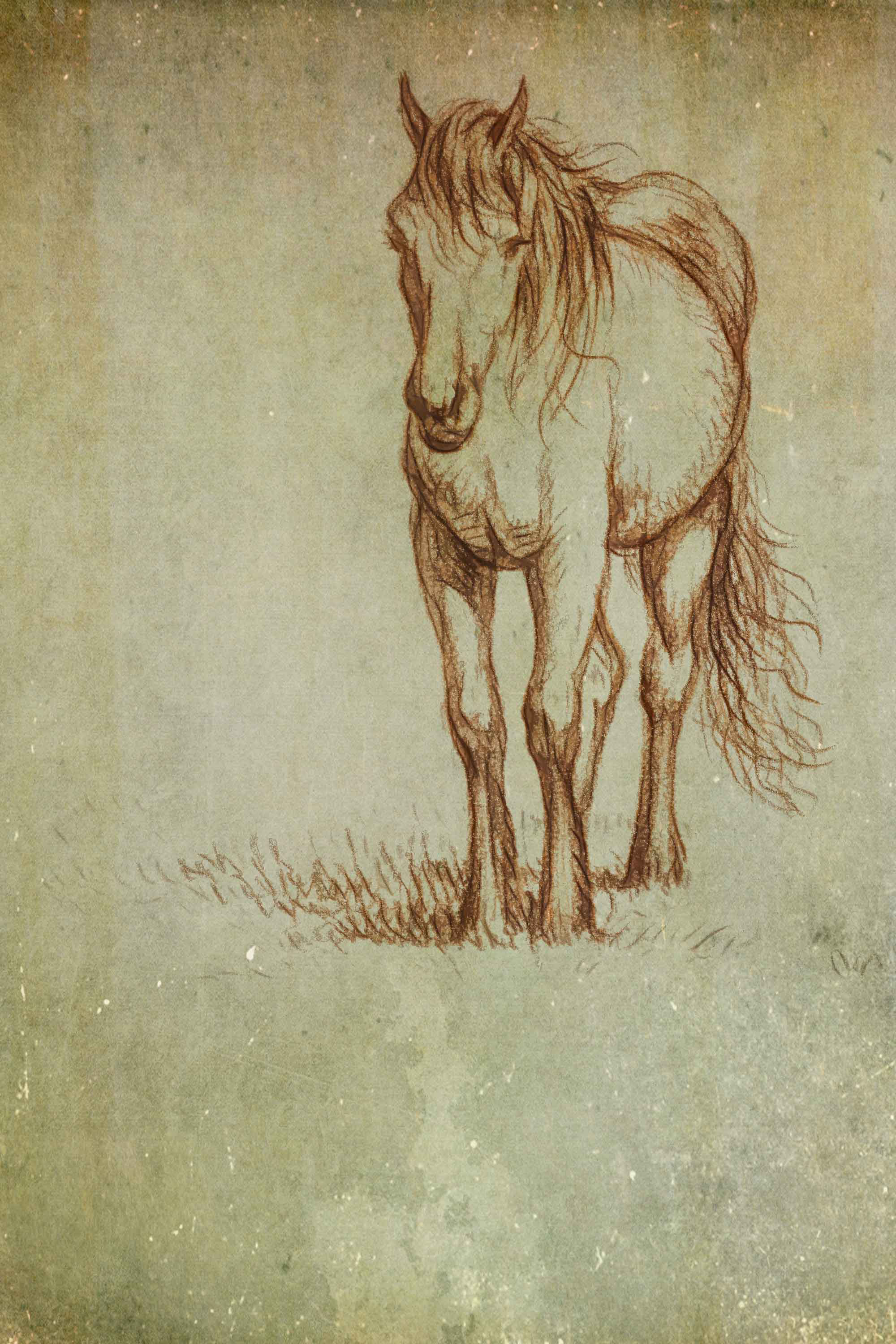 15 Horse Drawings For Kids, Teach You How To Draw A Horse? - DIY ART PINS