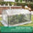 Mini Greenhouse with double Roll-Up Zippered Doors, PE Cover-120765933