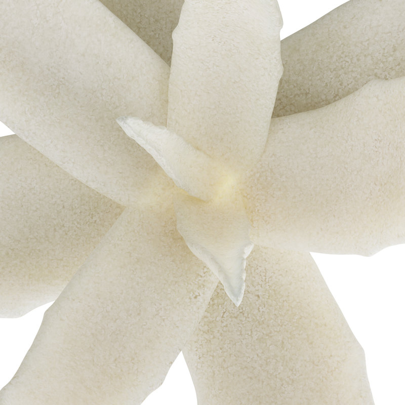 Zaloe Handmade Decorative Object