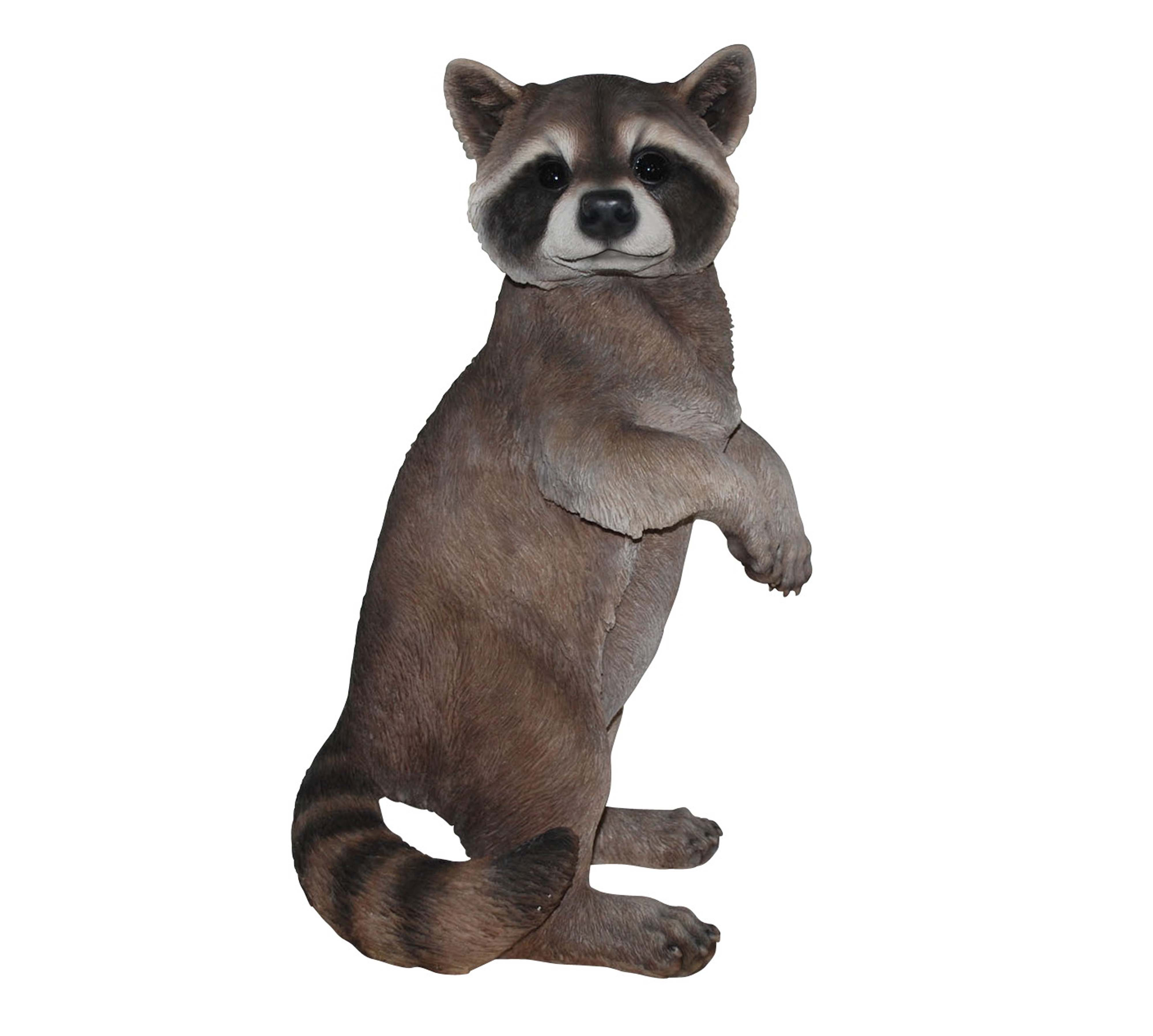 Figurina Raton Hi-Line Gift Ltd. Figurine raton laveur debout & Reviews - Wayfair Canada