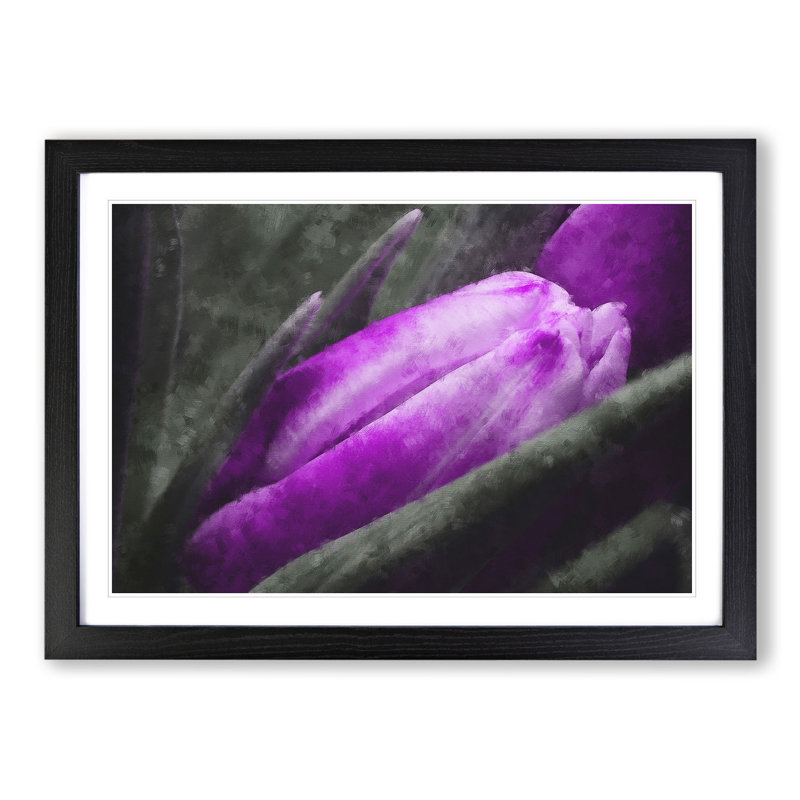 Purple Tulip Flowers Vol.2 - Framed Print, 48cm H x 65cm W x 2cm D, Black Framed
