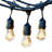 Rentas Outdoor 8 - Bulb 24.5'' Plug-in String Light