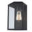 Storm Iron Wall Light