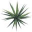 2 pièces d'agave artificiel à pointes