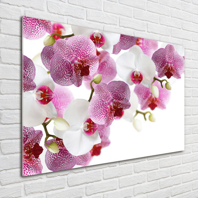 Orchid - No Frame Print on Glass