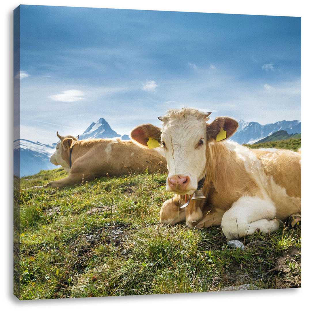 Leinwandbild Simmentaler Kühe vor Schweizer Alpen