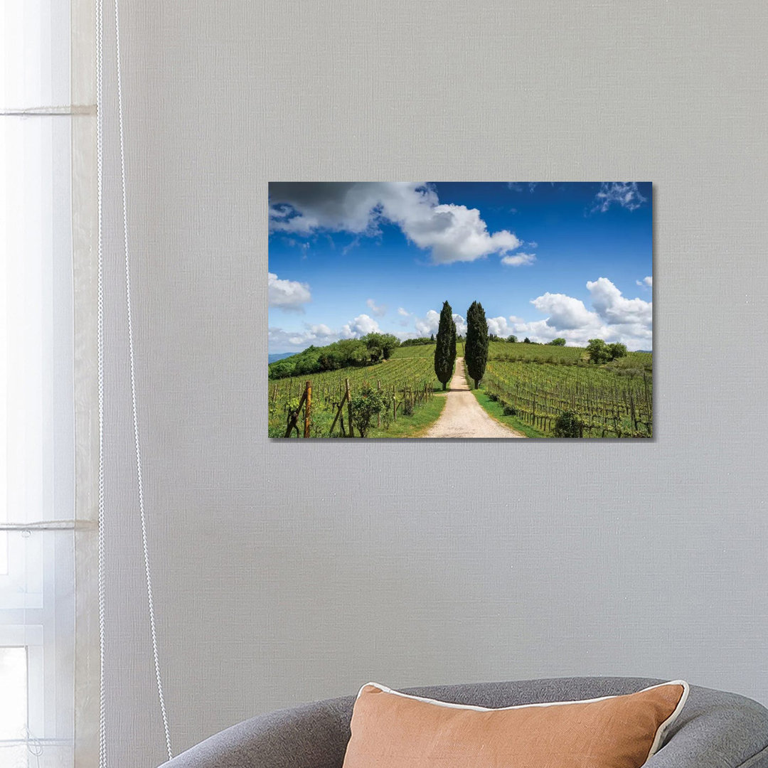 Europe, Italy, Tuscany, Chianti. Vineyard And Cypress Trees. by Jaynes Gallery - Wrapped Canvas Print