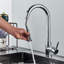 Belfry Kitchen Waldron Pull Out Kitchen Faucet