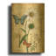«Botanical Daisey Grande Marqueritte Damask» par Jean Plout, art mural en métal doré, 16 po x 24 po-22505012